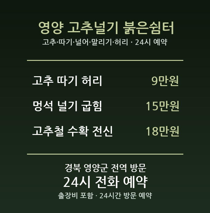영양 출장마사지 - 고추 따기 널어 말리기 허리 방문 홈케어