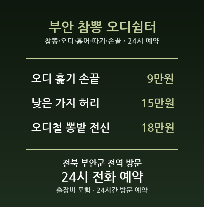 부안 출장마사지 - 참뽕 오디 훑어 따기 손끝 허리 방문 홈케어