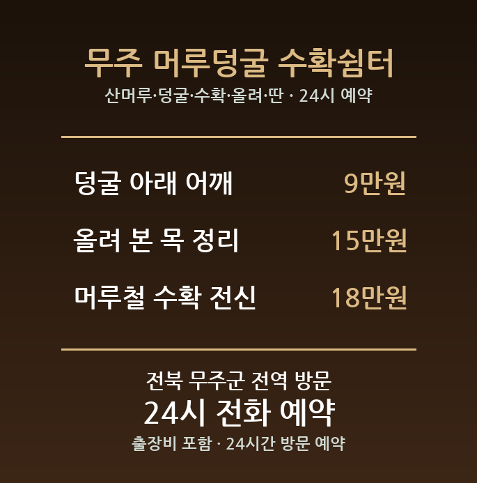 무주 출장마사지 - 산머루 덩굴 수확 올려 딴 어깨 방문 홈케어