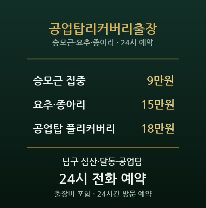 삼산동 출장마사지 - 공업탑 직장인 리커버리