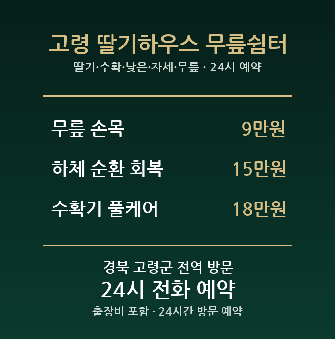 고령 출장마사지 - 딸기 수확 낮은 자세 무릎 손목 방문 홈케어