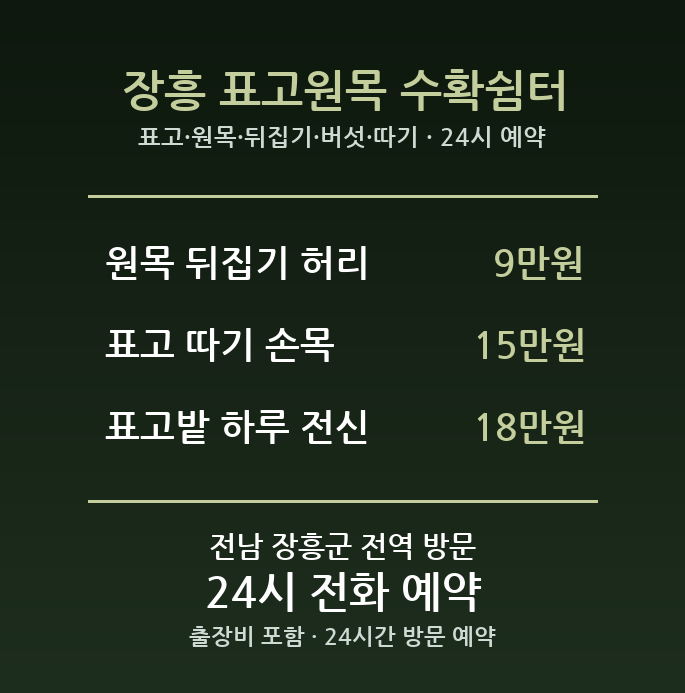 장흥 출장마사지 - 표고 원목 뒤집기 버섯 따기 허리 방문 홈케어