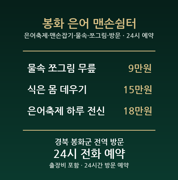 봉화 출장마사지 - 은어축제 맨손잡기 물속 쪼그림 방문 홈케어
