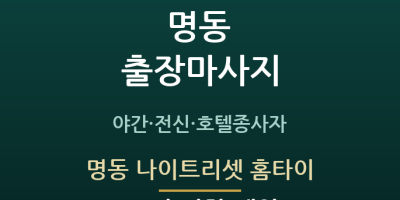 명동 나이트리셋 홈타이