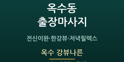 옥수 강뷰나른