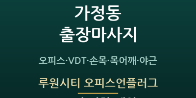 루원시티 오피스언플러그