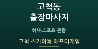 고척 스카이돔 애프터게임