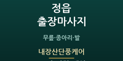 내장산단풍케어