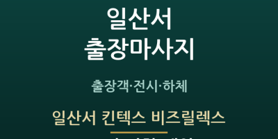 일산서 킨텍스 비즈릴렉스